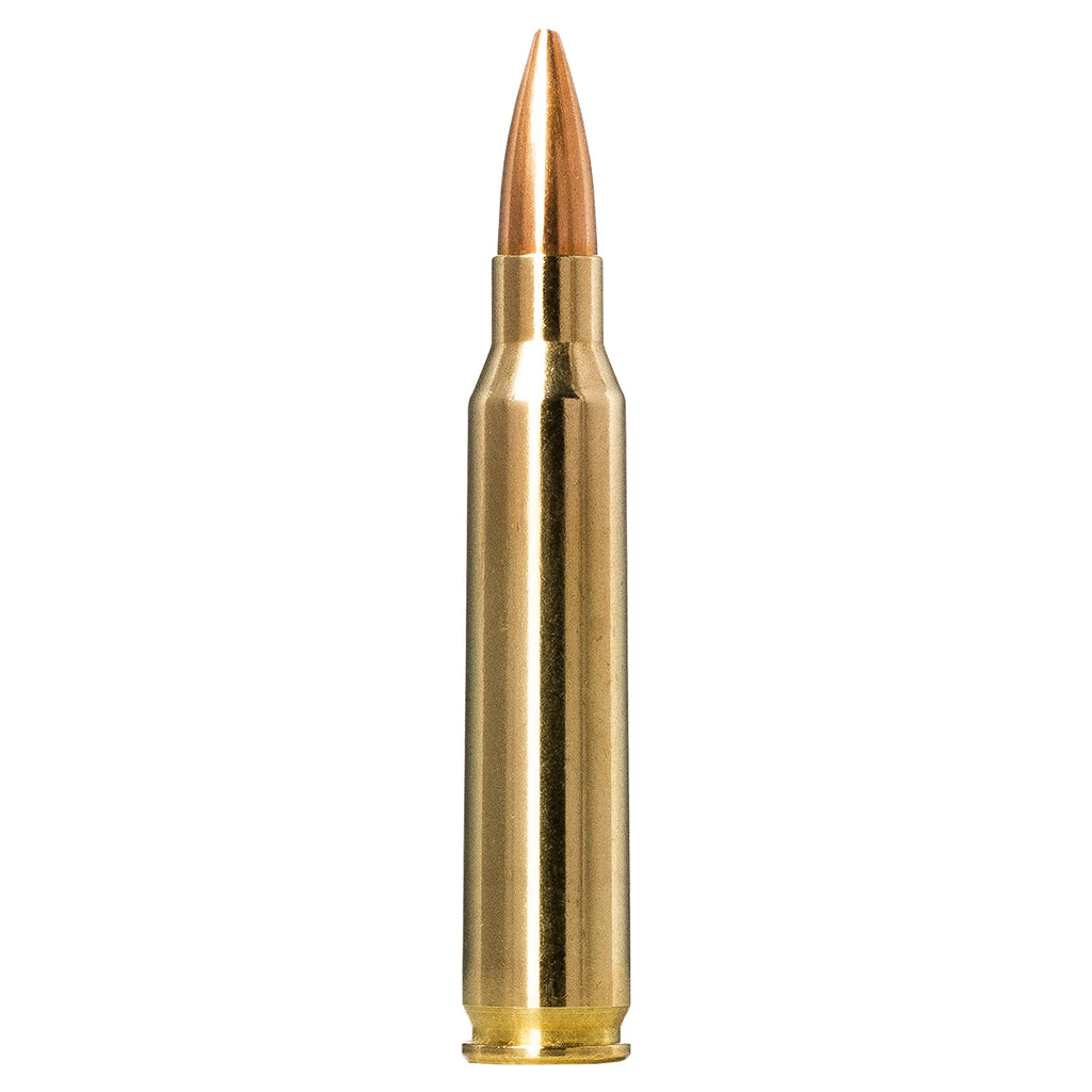 223 Rem 69gr Golden Target