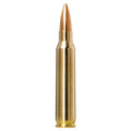 223 Rem 69gr Golden Target