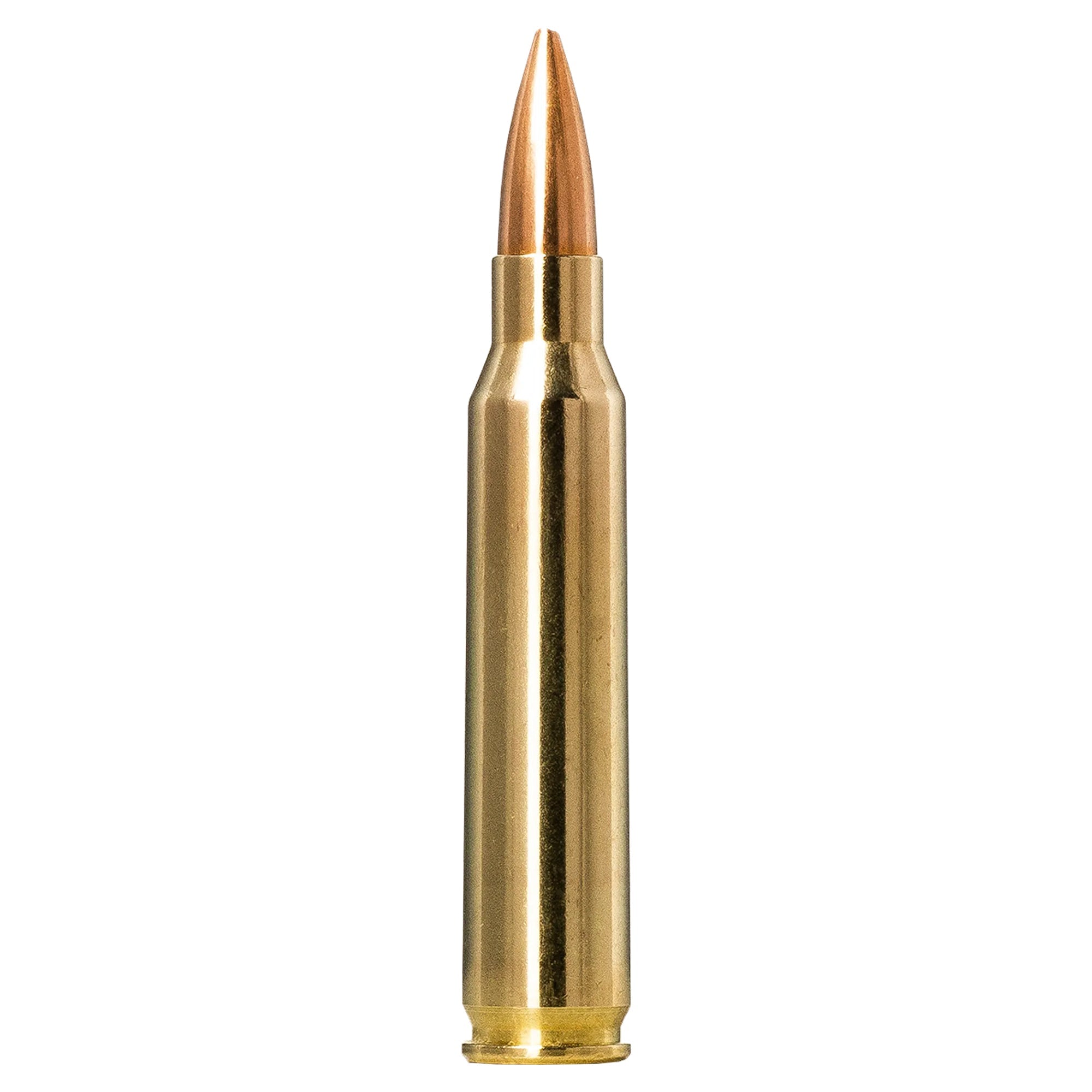 223 Rem 69gr Golden Target