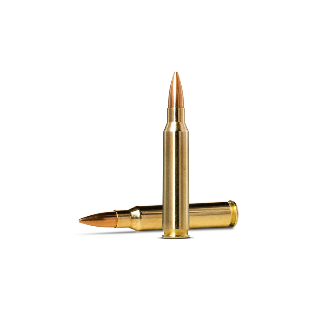 223 Rem 69gr Golden Target