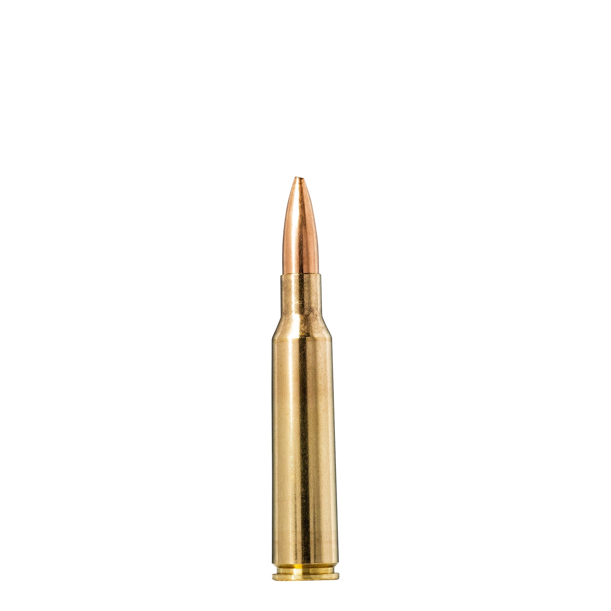 6.5X55 100gr HP Recruit