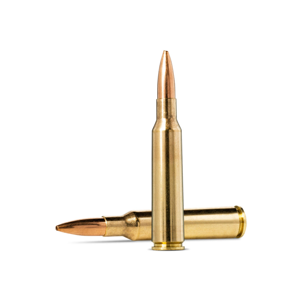 6.5X55 100gr HP Recruit
