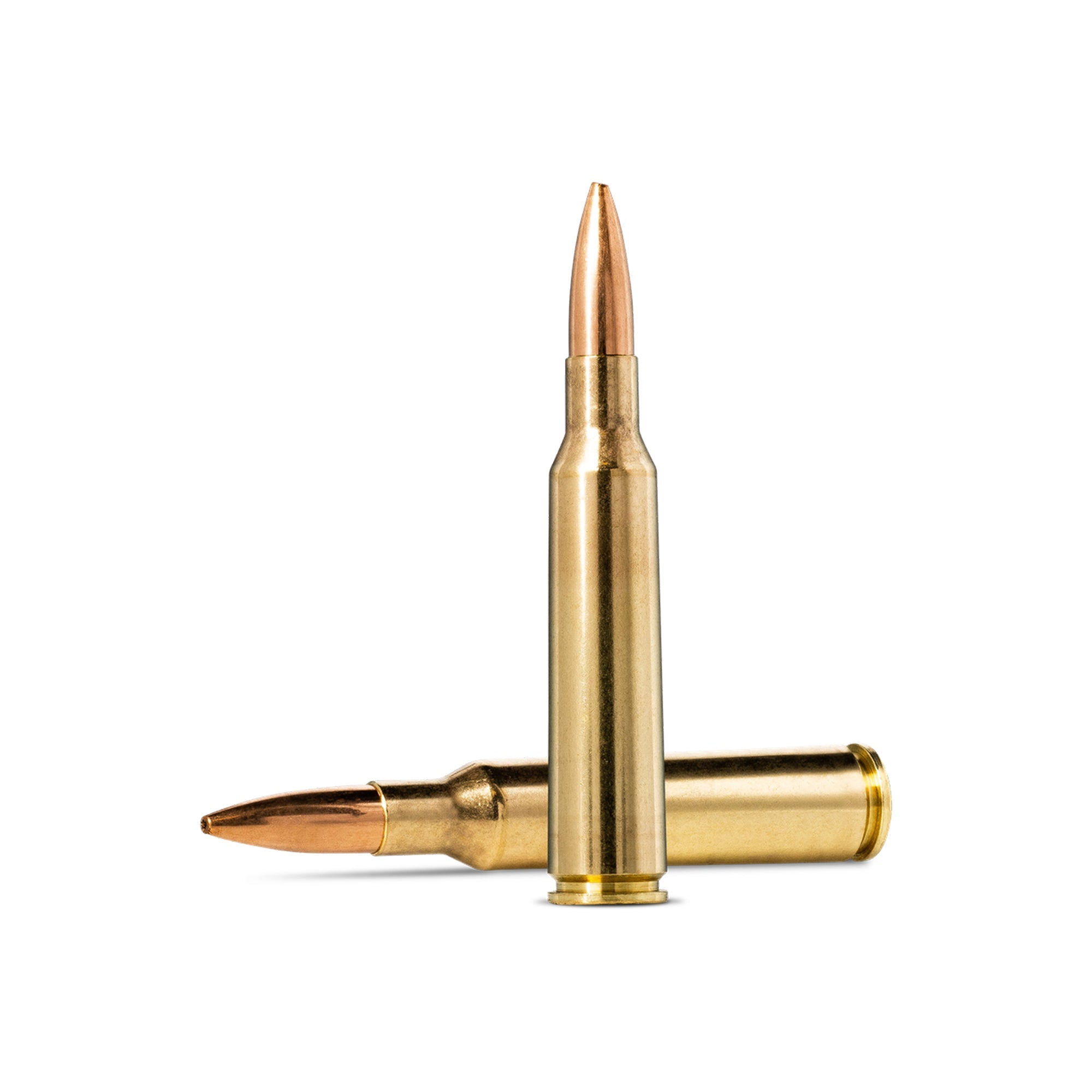 6.5X55 100gr HP Recruit