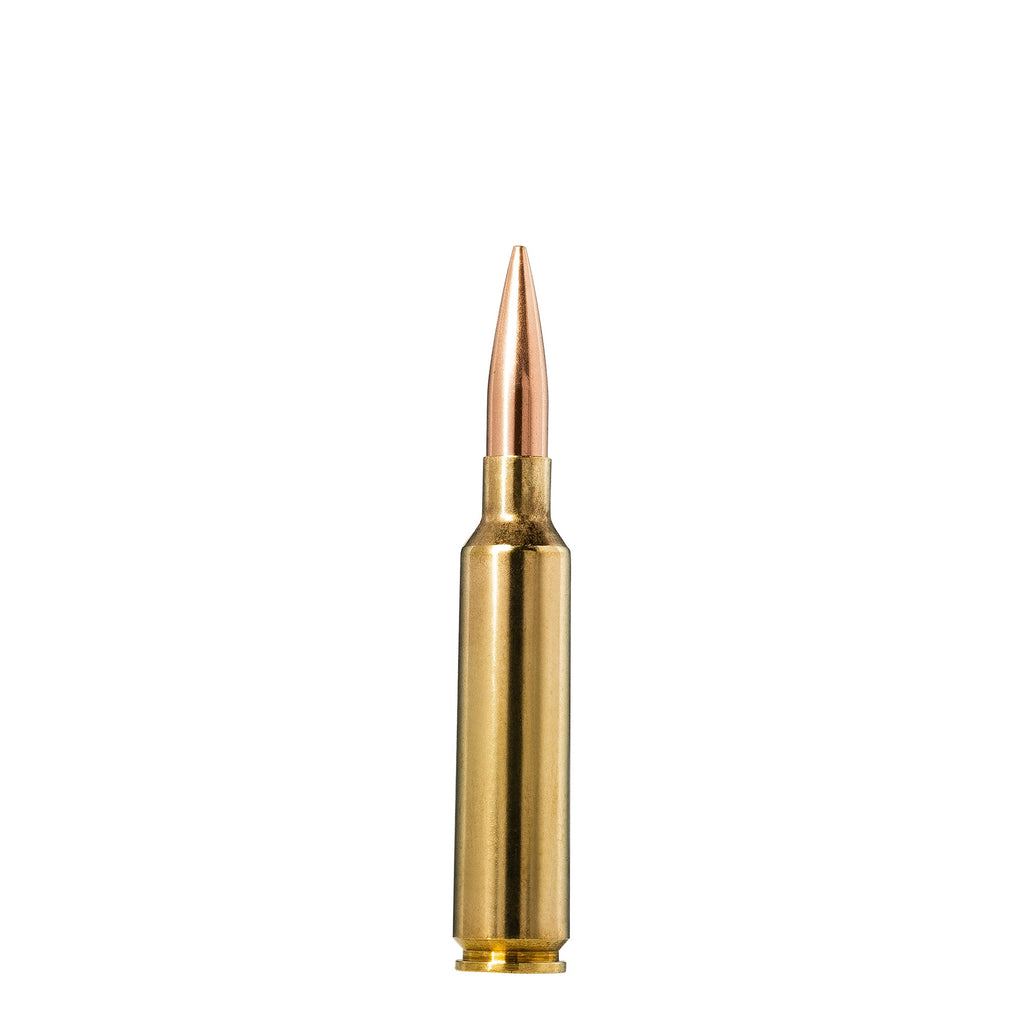 6.5-284 130gr Golden Target