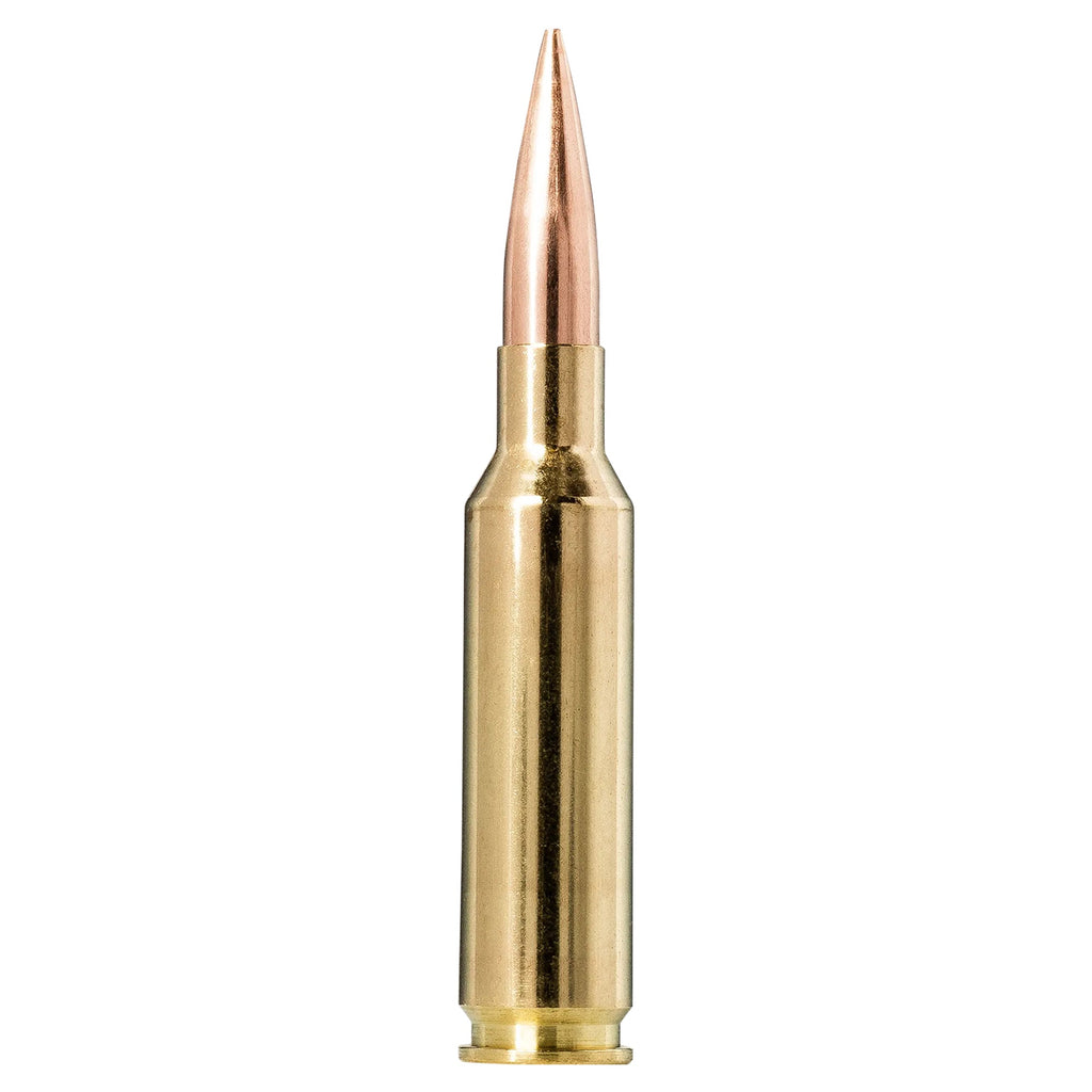 6.5 Creedmoor 130gr Golden Target