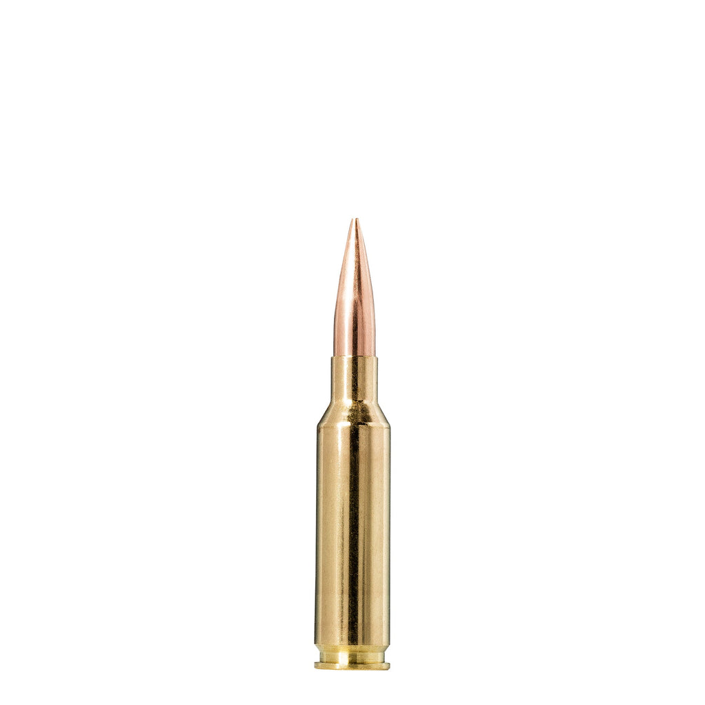 6.5 Creedmoor 130gr Golden Target