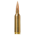 6.5 Prc 143gr Golden Target