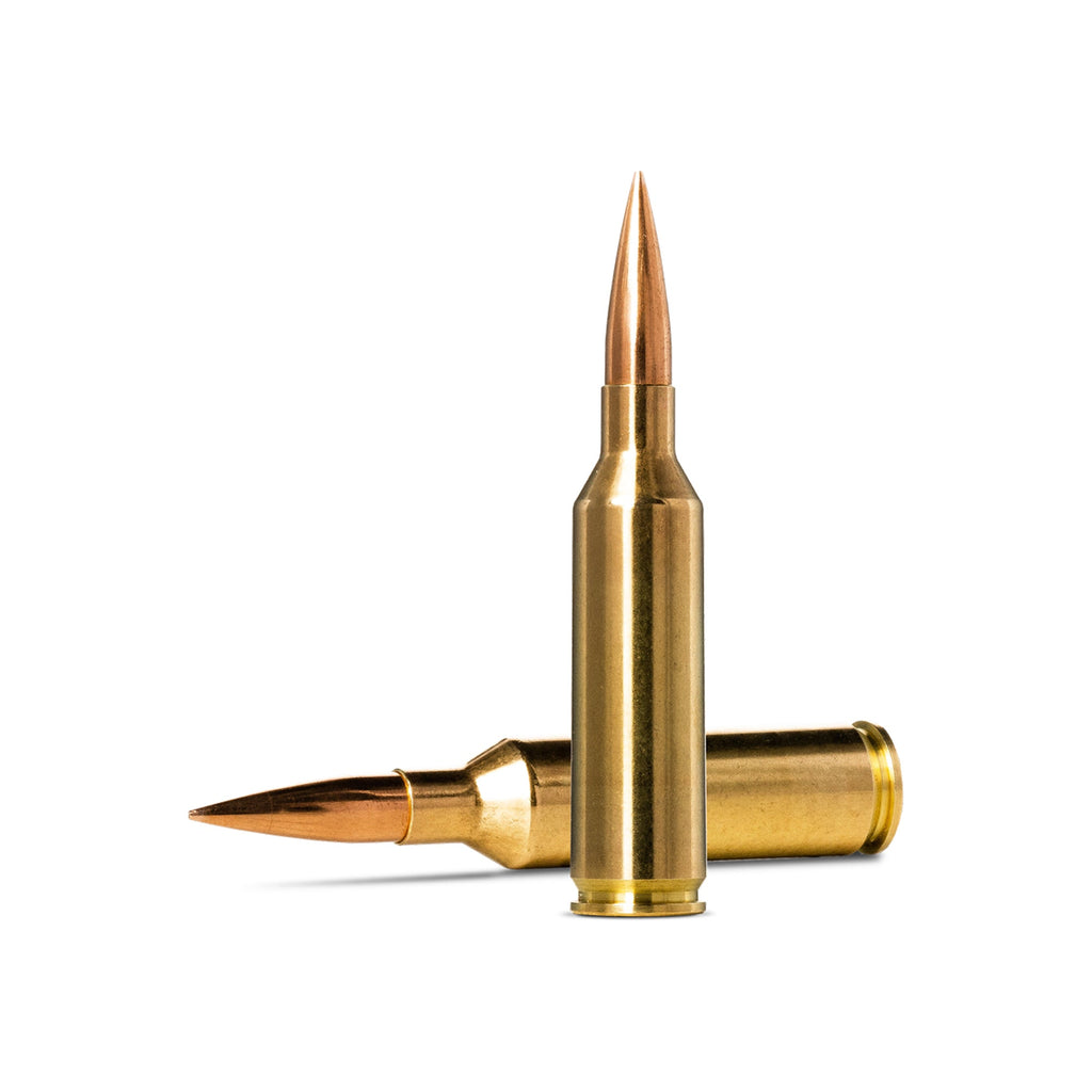 6.5 Prc 143gr Golden Target