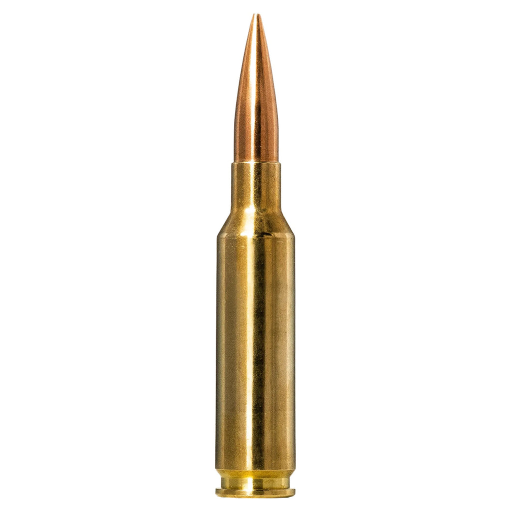6.5 Creedmoor 143gr Golden Target