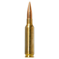 6.5 Creedmoor 143gr Golden Target