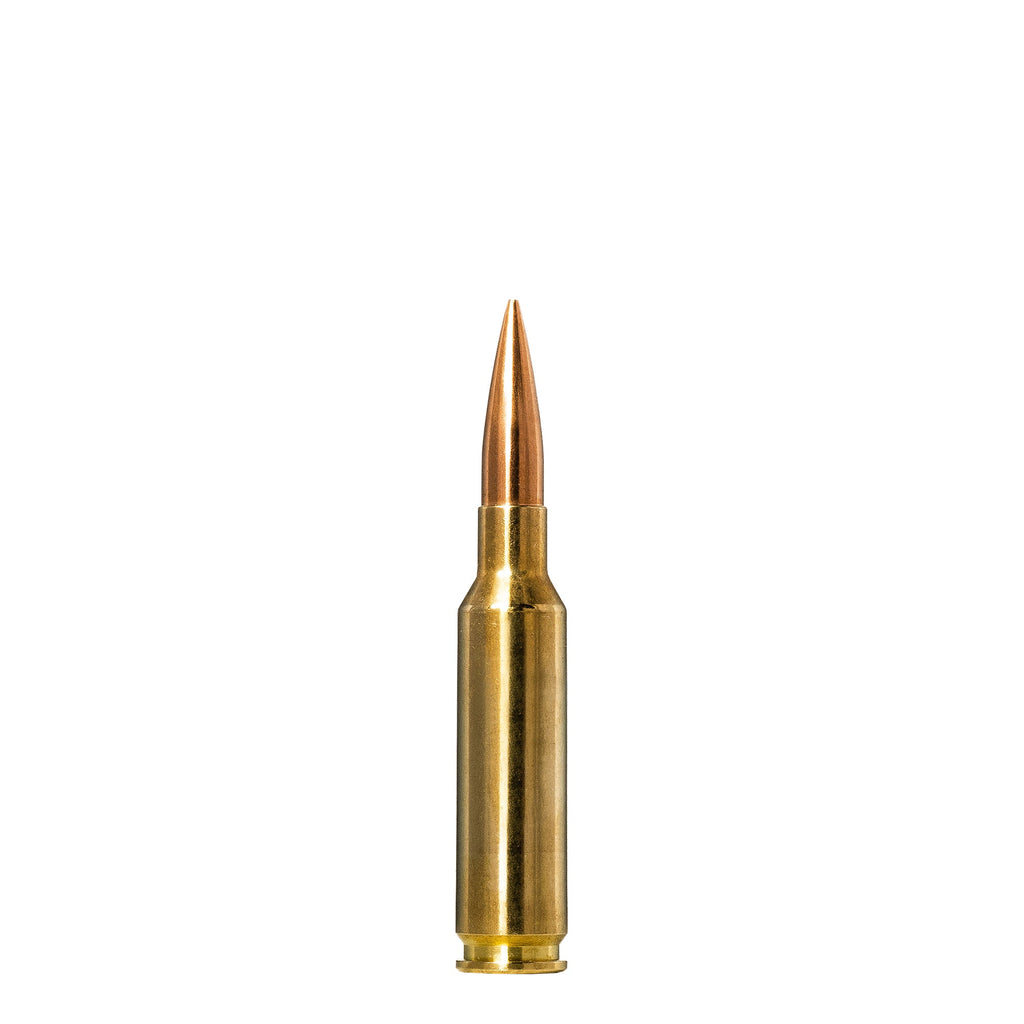 6.5 Creedmoor 143gr Golden Target