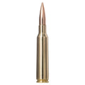 6.5X55 143gr Golden Target
