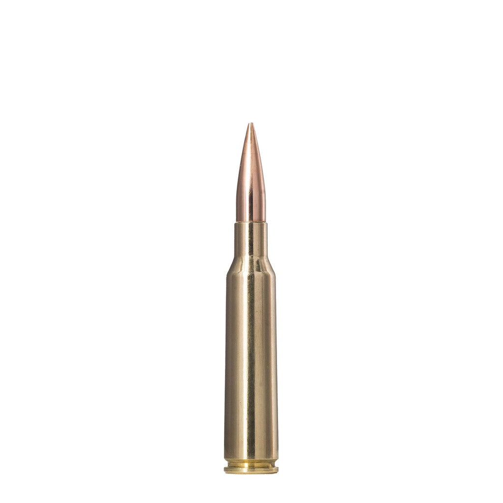 6.5X55 143gr Golden Target