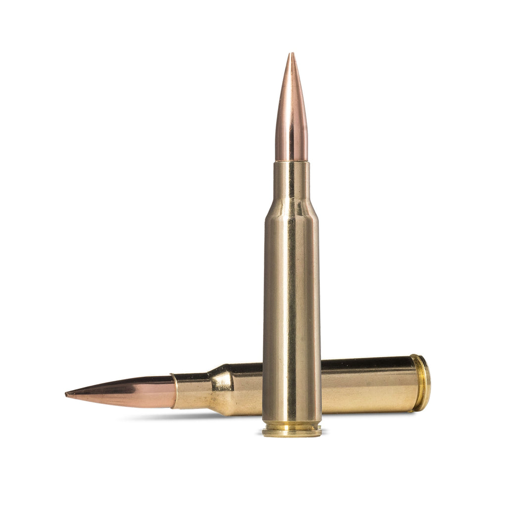 6.5X55 143gr Golden Target