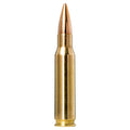 308 Win 155gr Golden Target