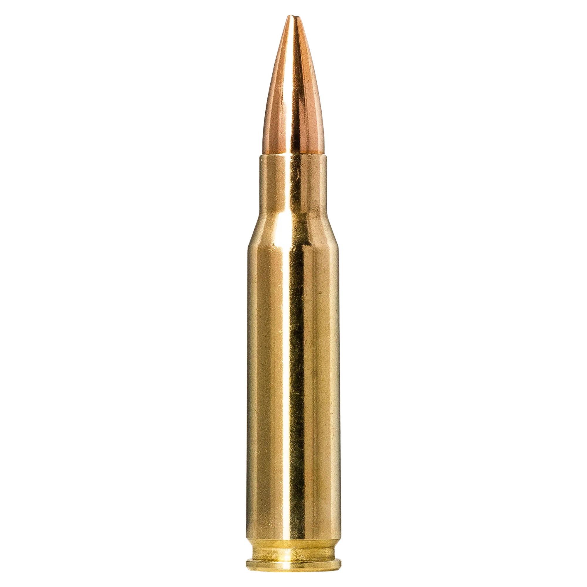 308 Win 155gr Golden Target