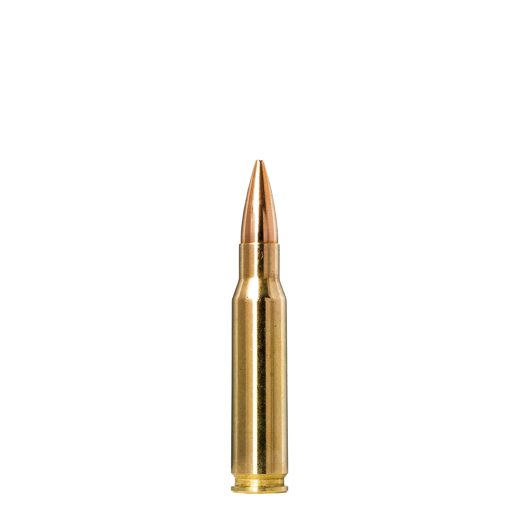 308 Win 155gr Golden Target