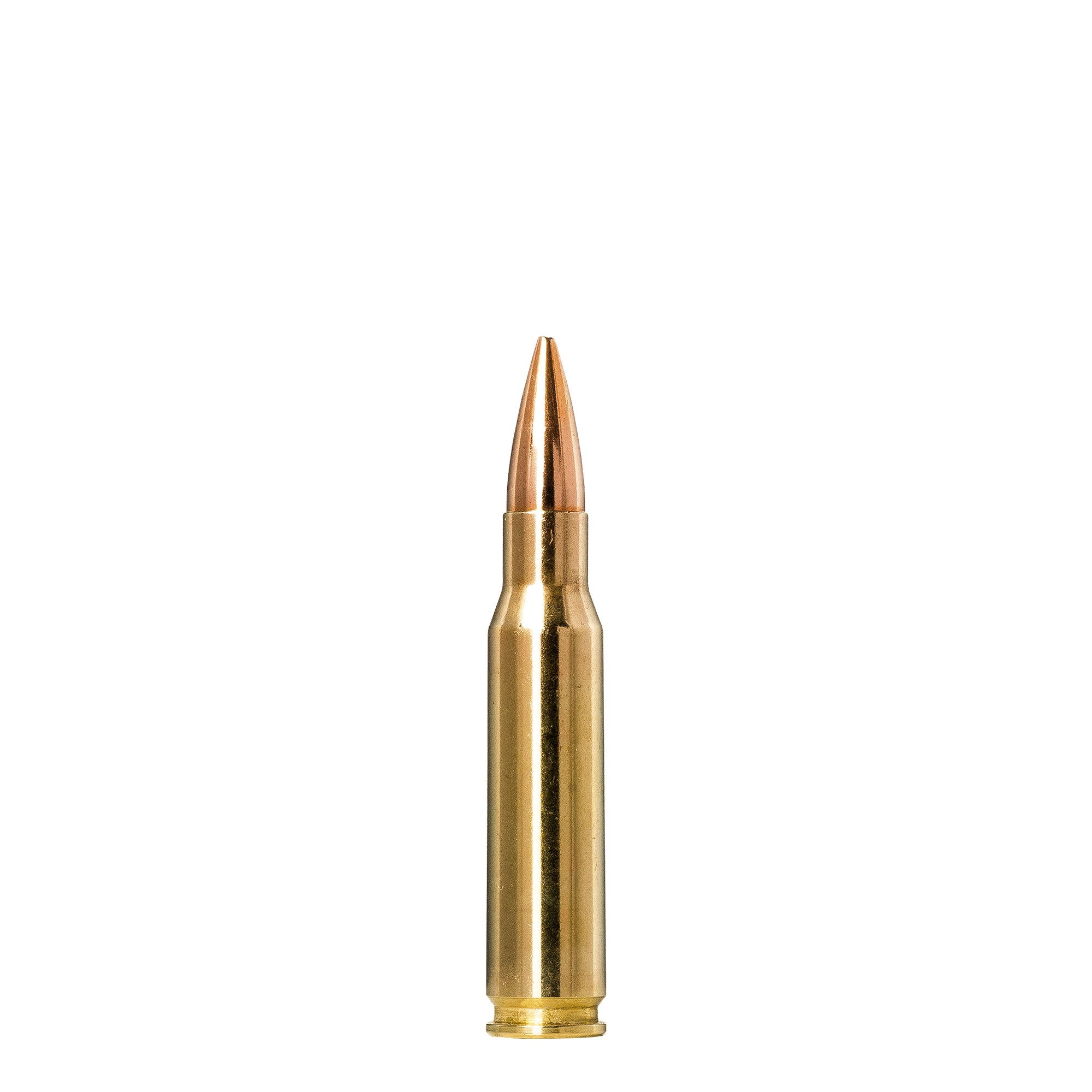 308 Win 155gr Golden Target