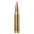 308 Win 168gr Golden Target
