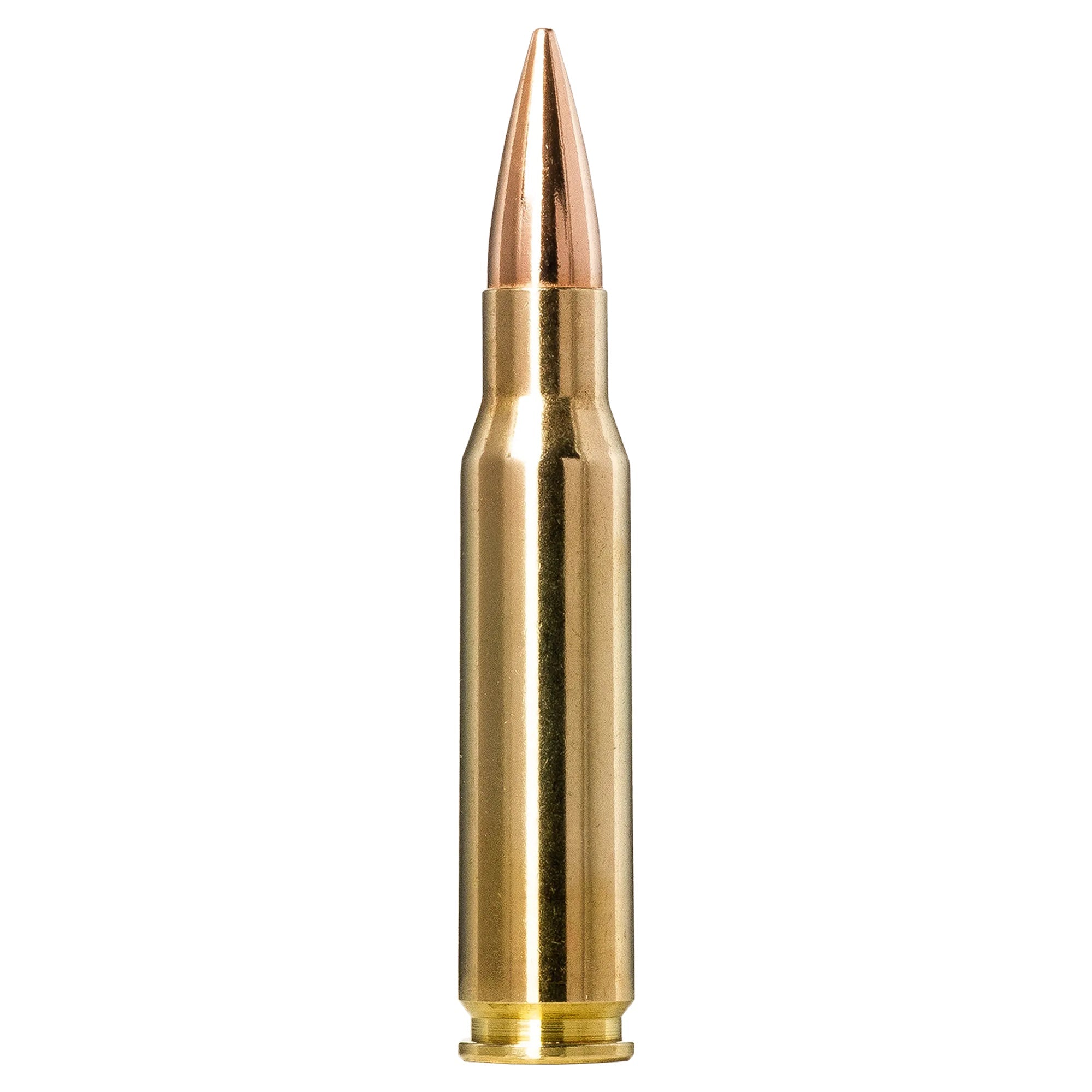 308 Win 168gr Golden Target
