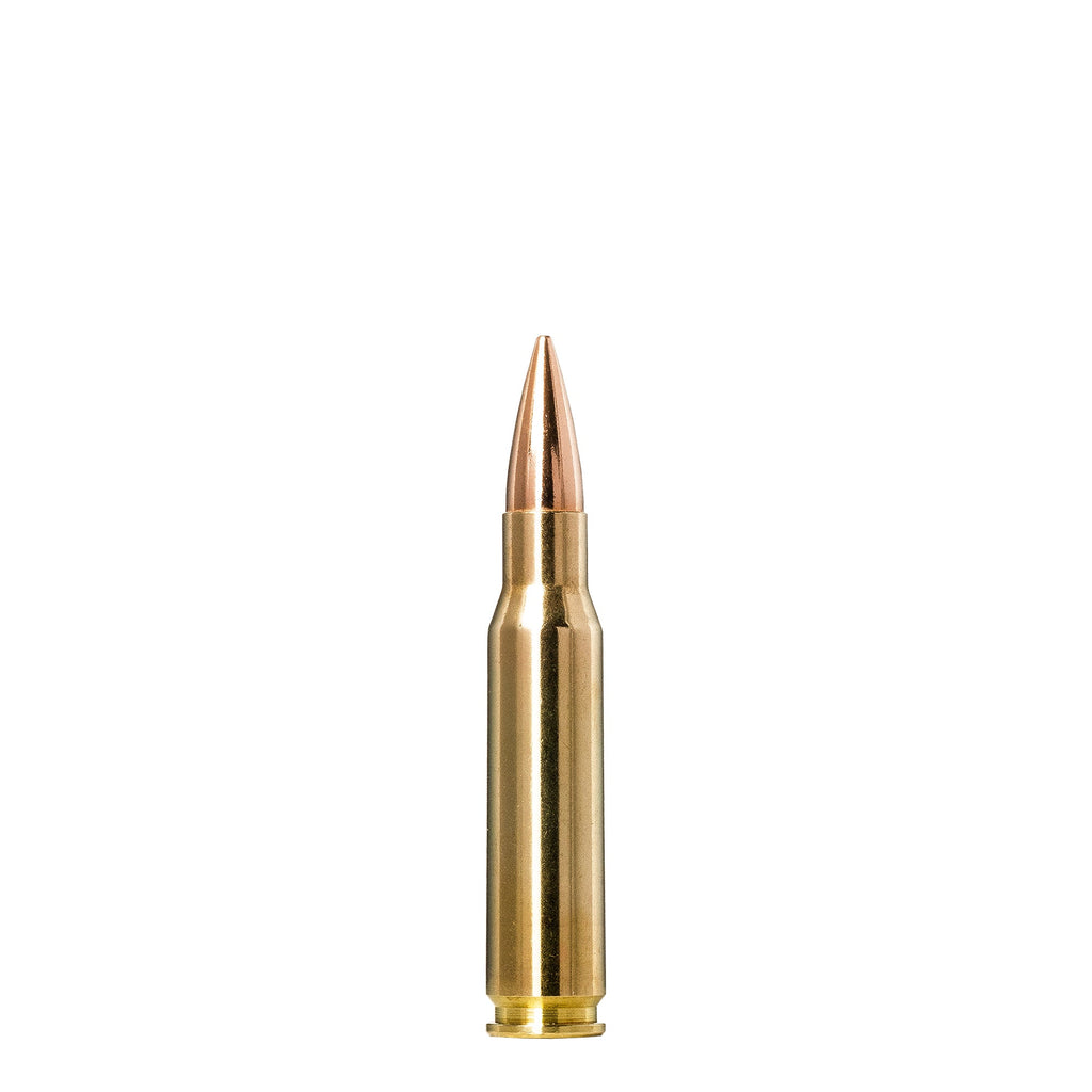 308 Win 168gr Golden Target