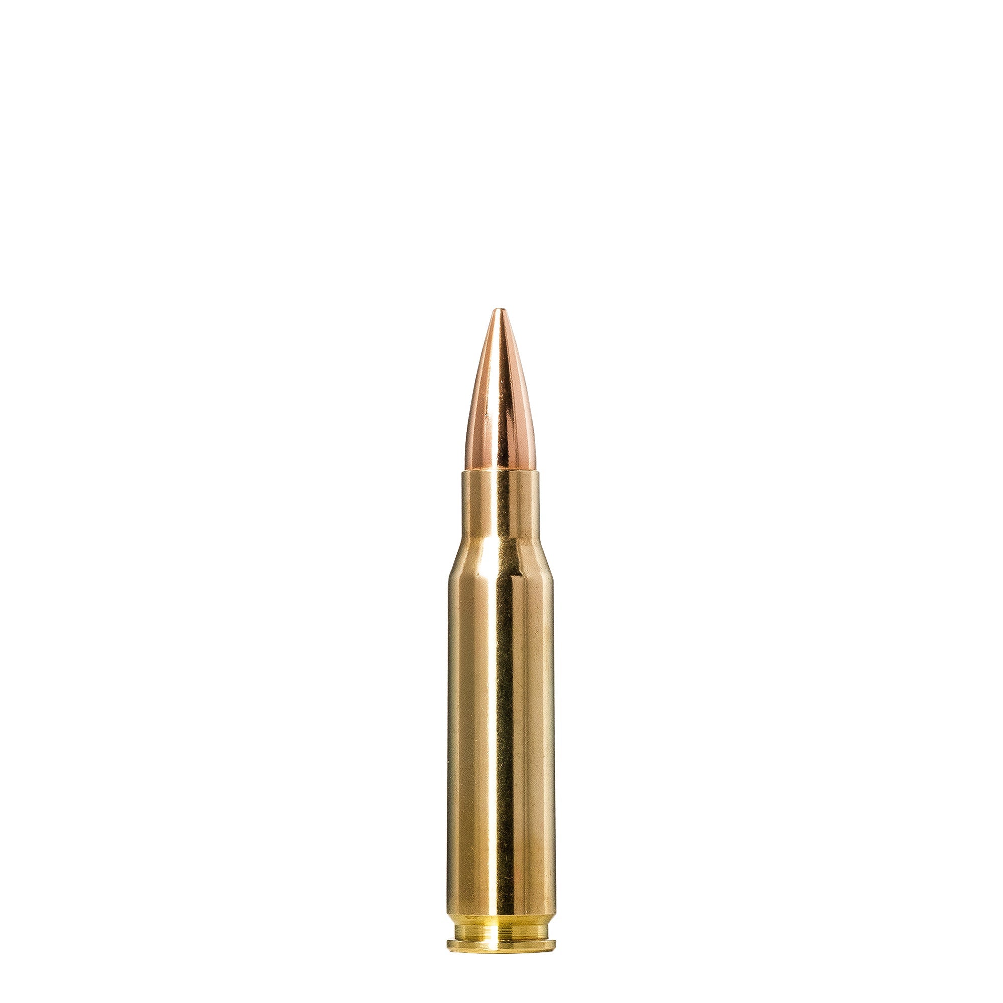 308 Win 168gr Golden Target