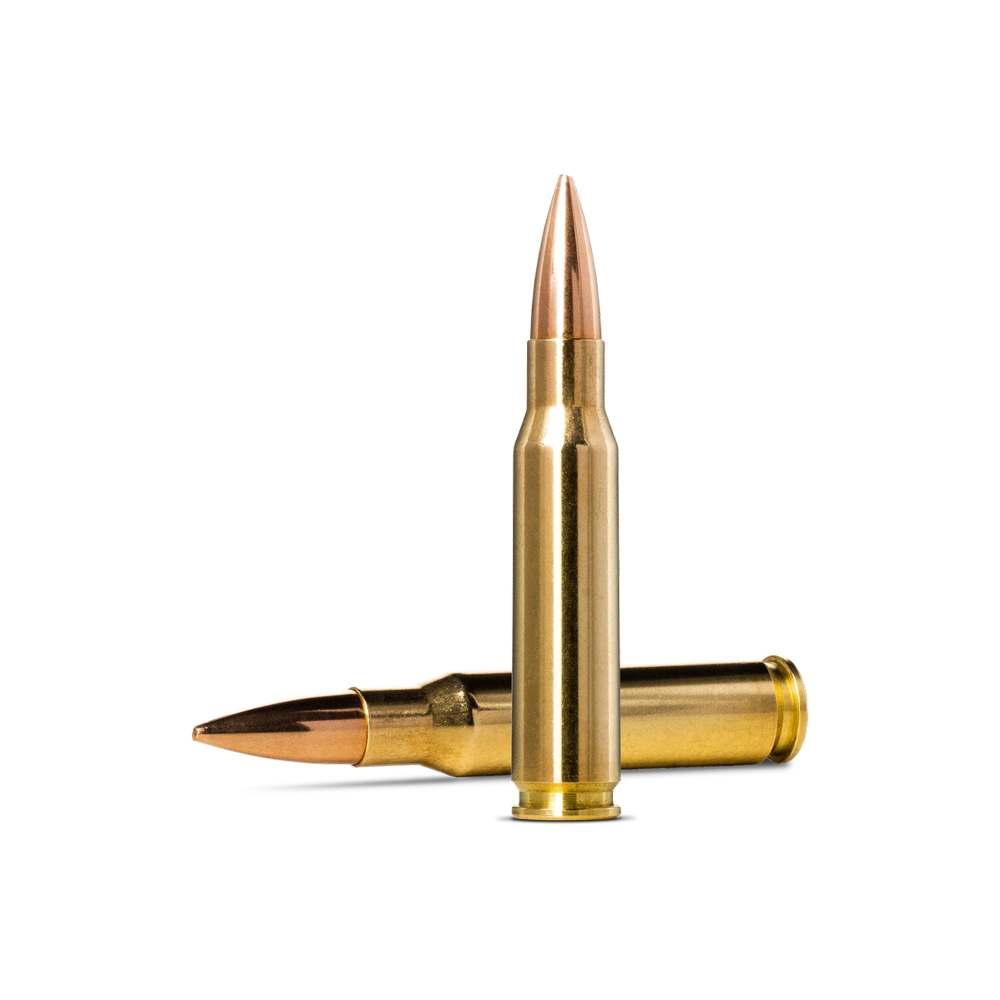 308 Win 175gr Golden Target
