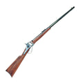 1874 Sharps Business Rifle Colour Case