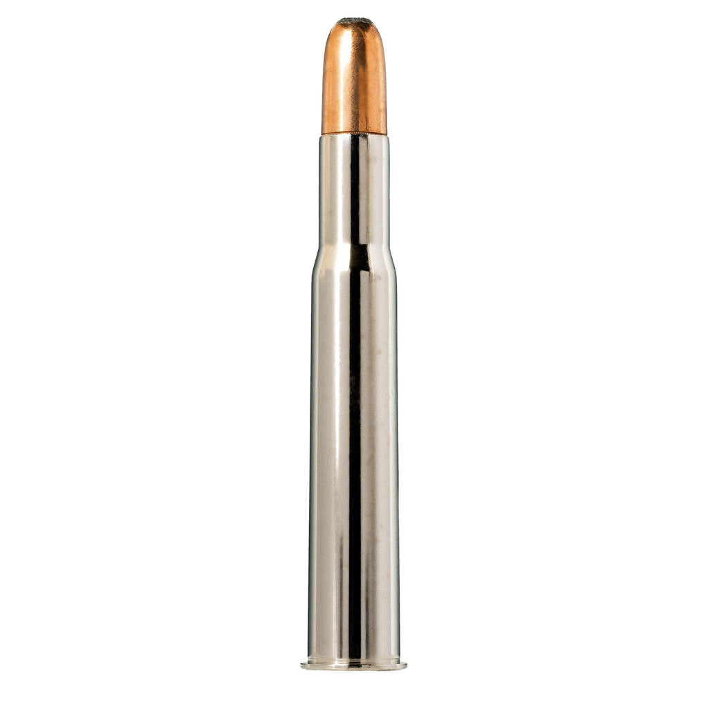 500/416 Ne 410gr Woodleigh RNSN