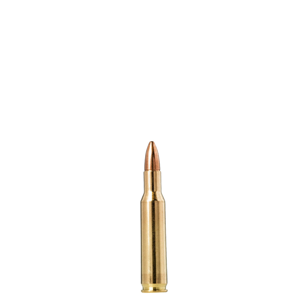 222 Rem 55gr FMJ Jaktmatch
