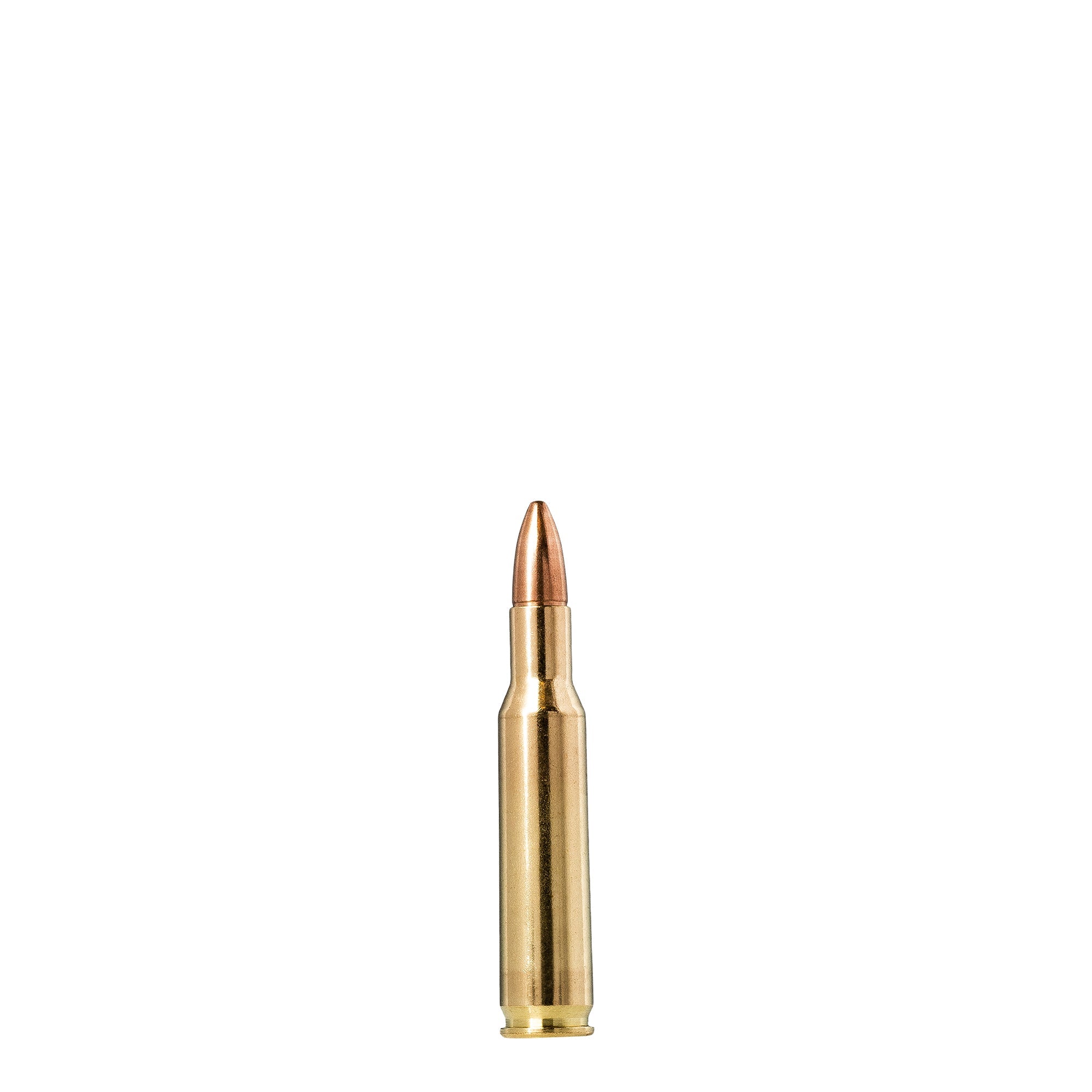 222 Rem 55gr FMJ Jaktmatch