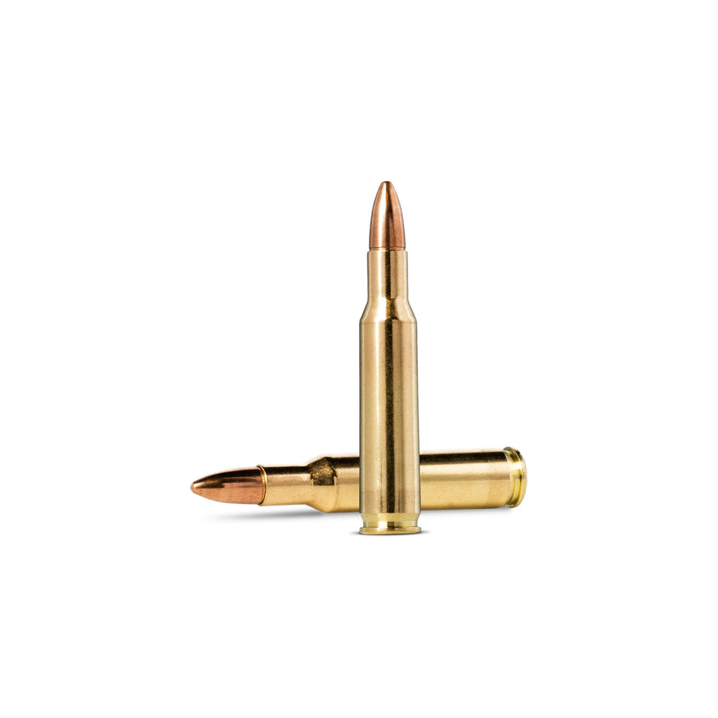 222 Rem 55gr FMJ Jaktmatch