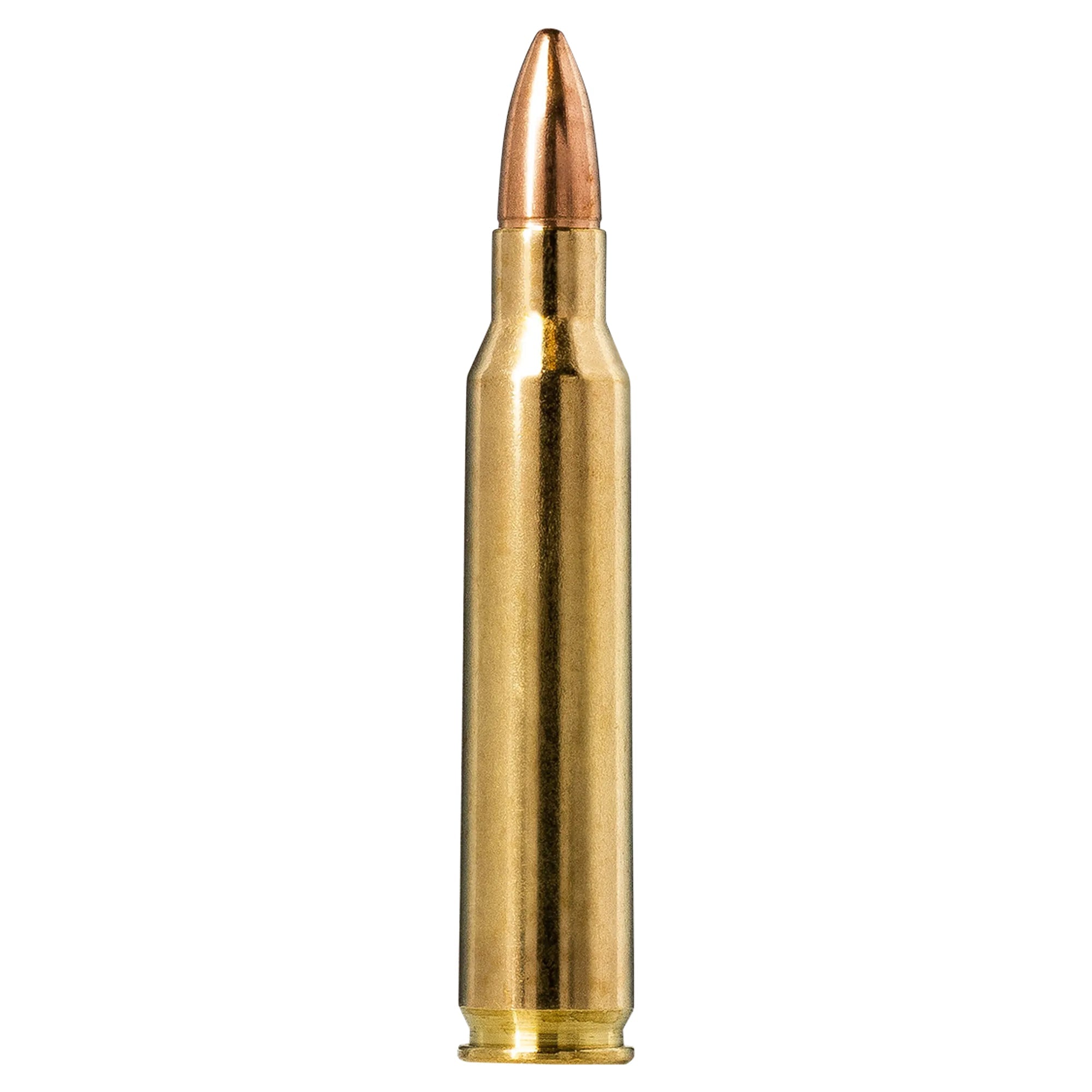 223 Rem 55gr FMJ Jaktmatch