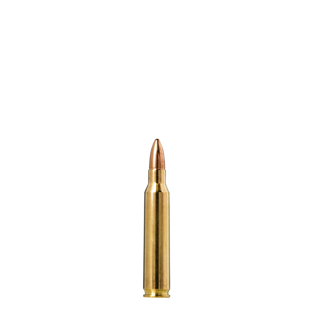 223 Rem 55gr FMJ Jaktmatch