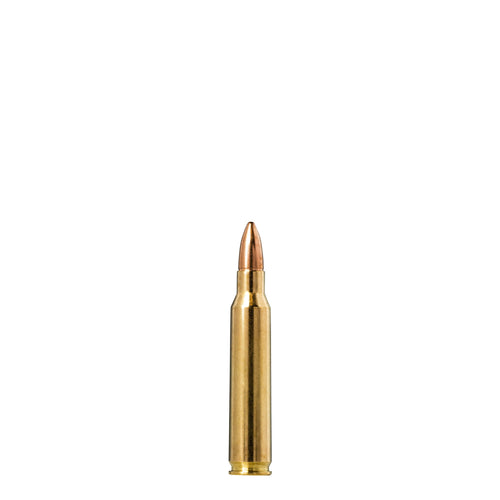 223 Rem 55gr FMJ Jaktmatch