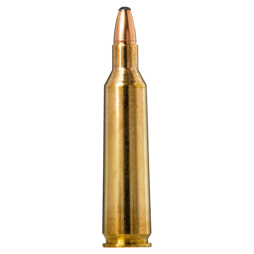 22-250 Rem 55gr Oryx