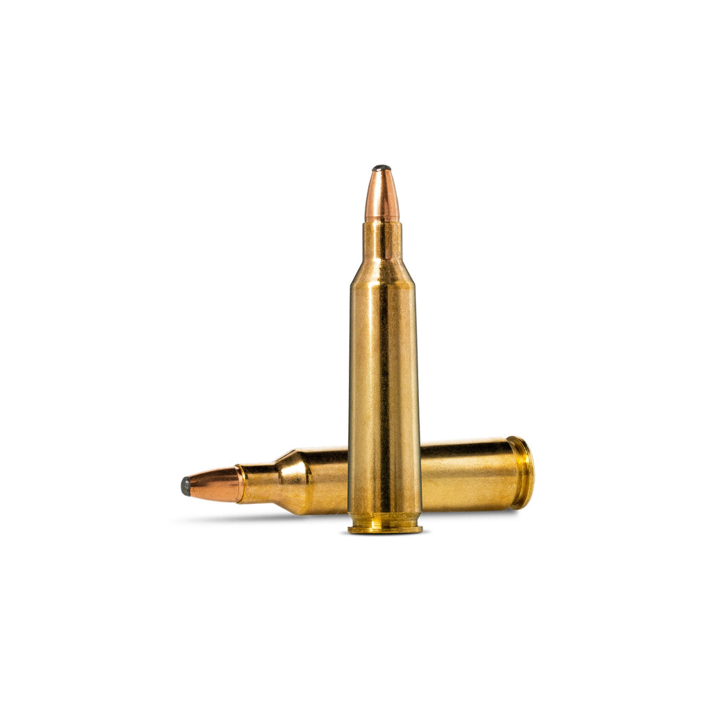 22-250 Rem 55gr Oryx