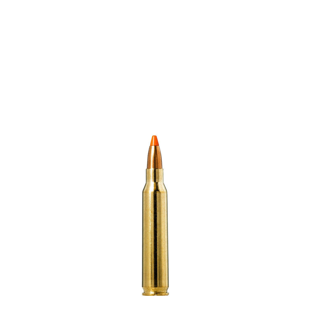 223 Rem 55gr Tipstrike Varmint