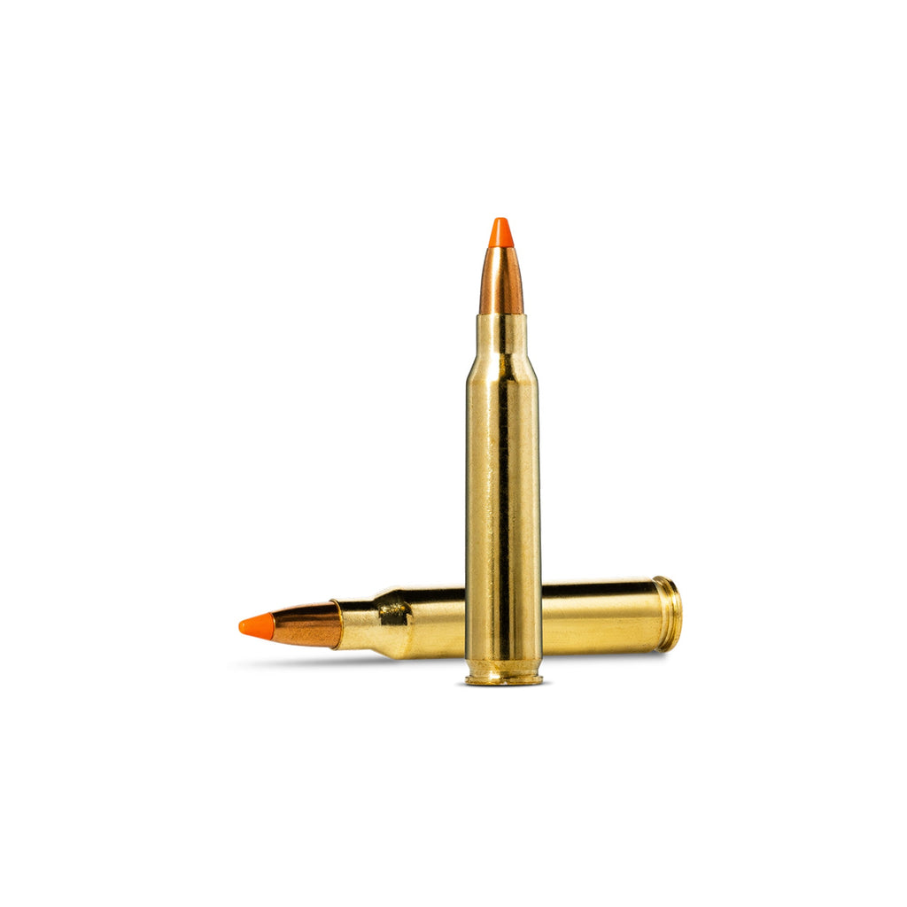 223 Rem 55gr Tipstrike Varmint