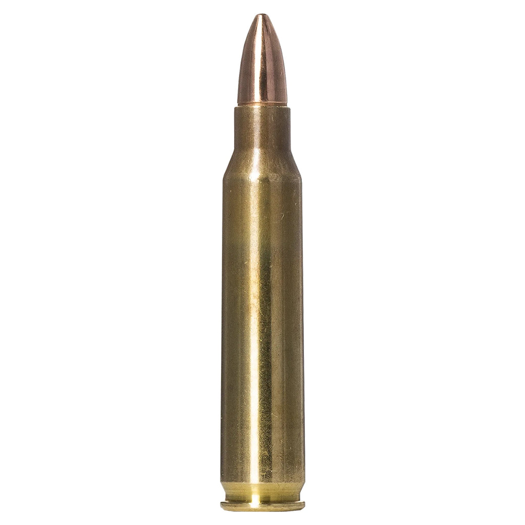 223 Rem 55gr Range And Training FMJ