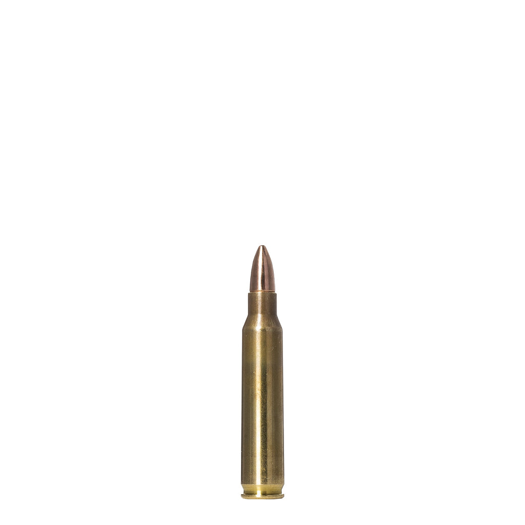223 Rem 55gr Range And Training FMJ