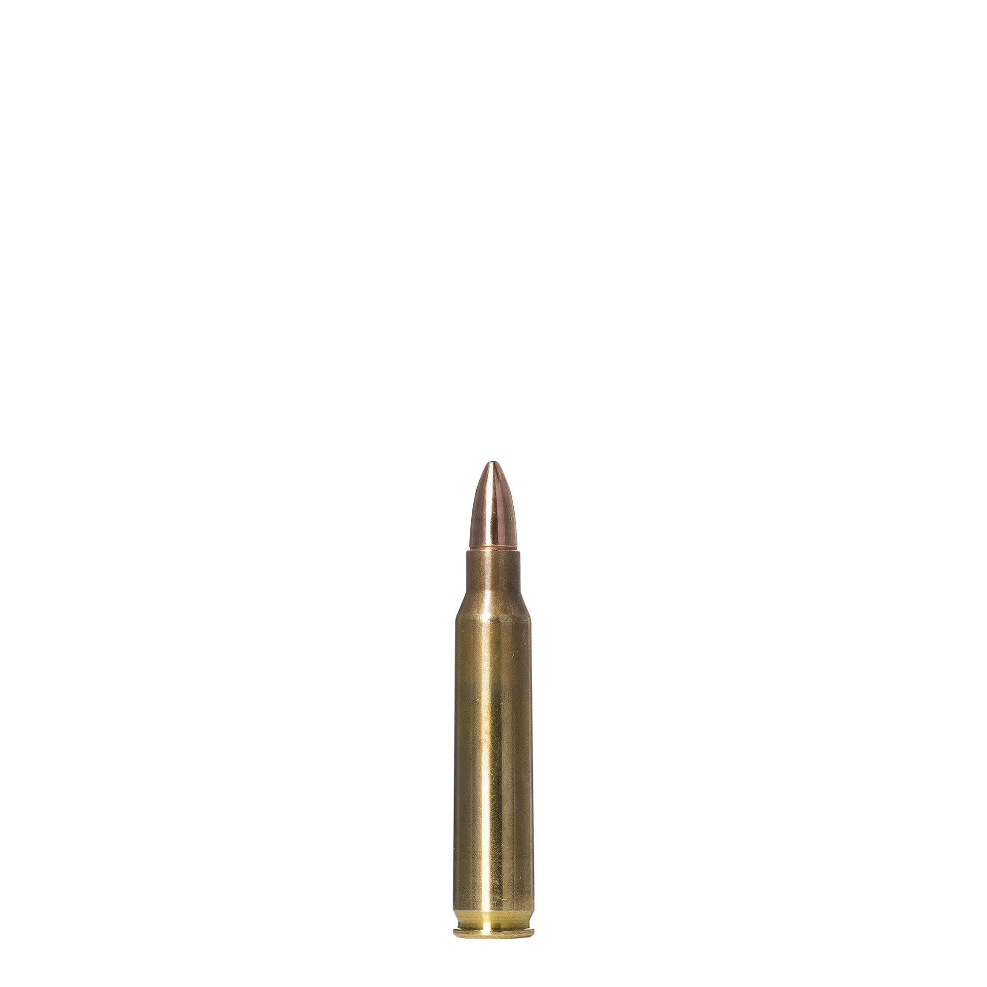 223 Rem 55gr Range And Training FMJ