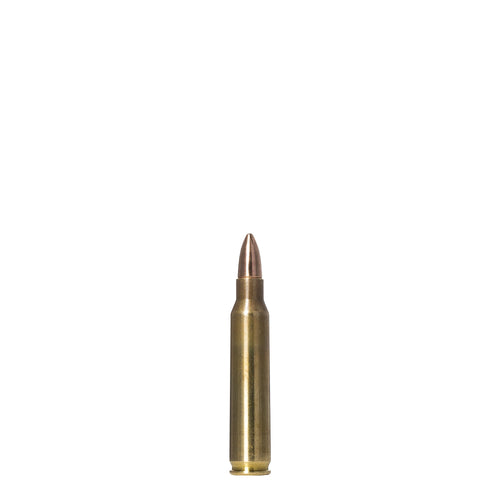 223 Rem 55gr Range And Training FMJ