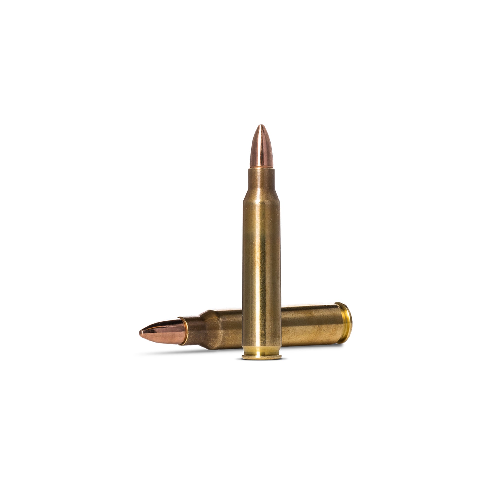 223 Rem 55gr Range And Training FMJ