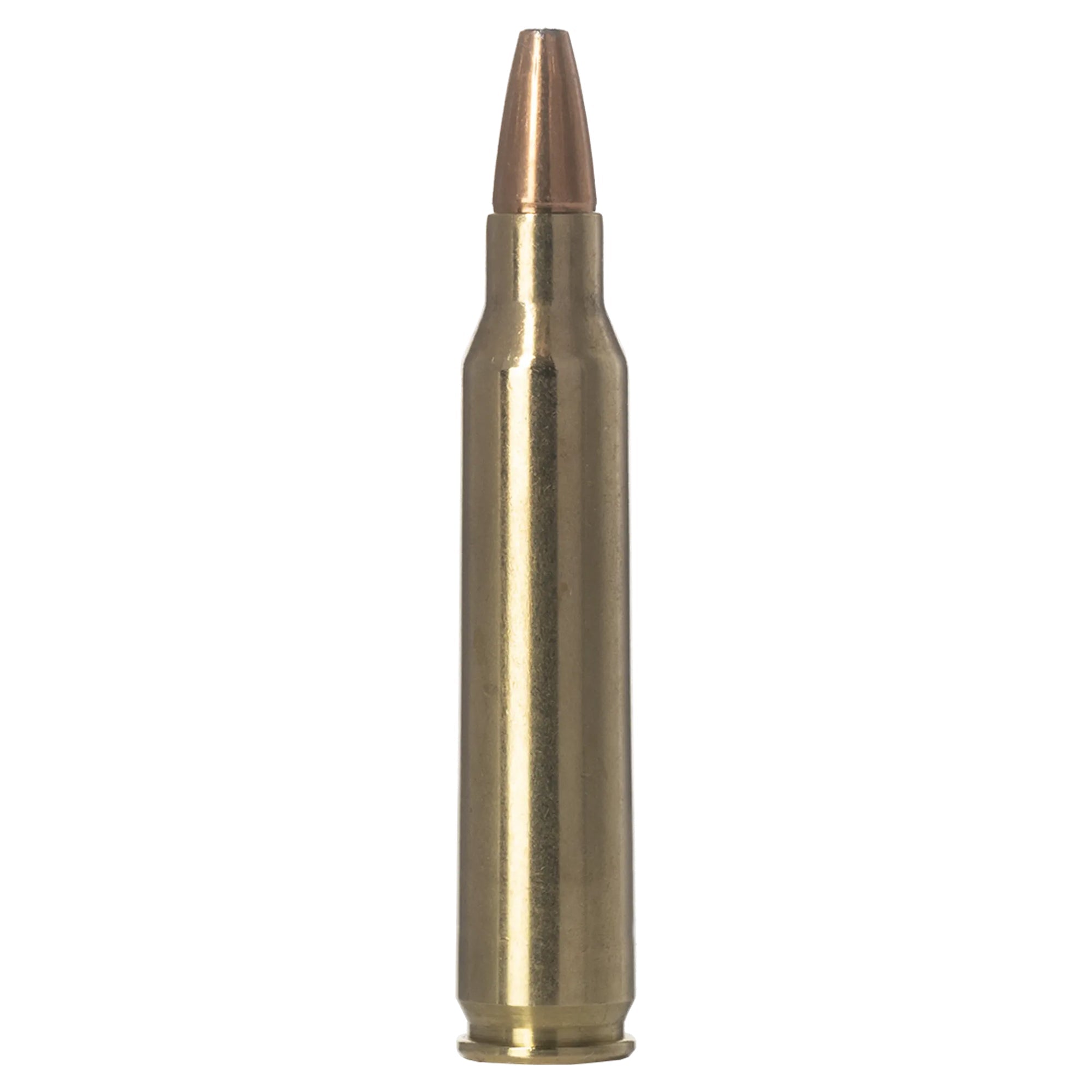 223 Rem 55gr Vermin Xtreme HP