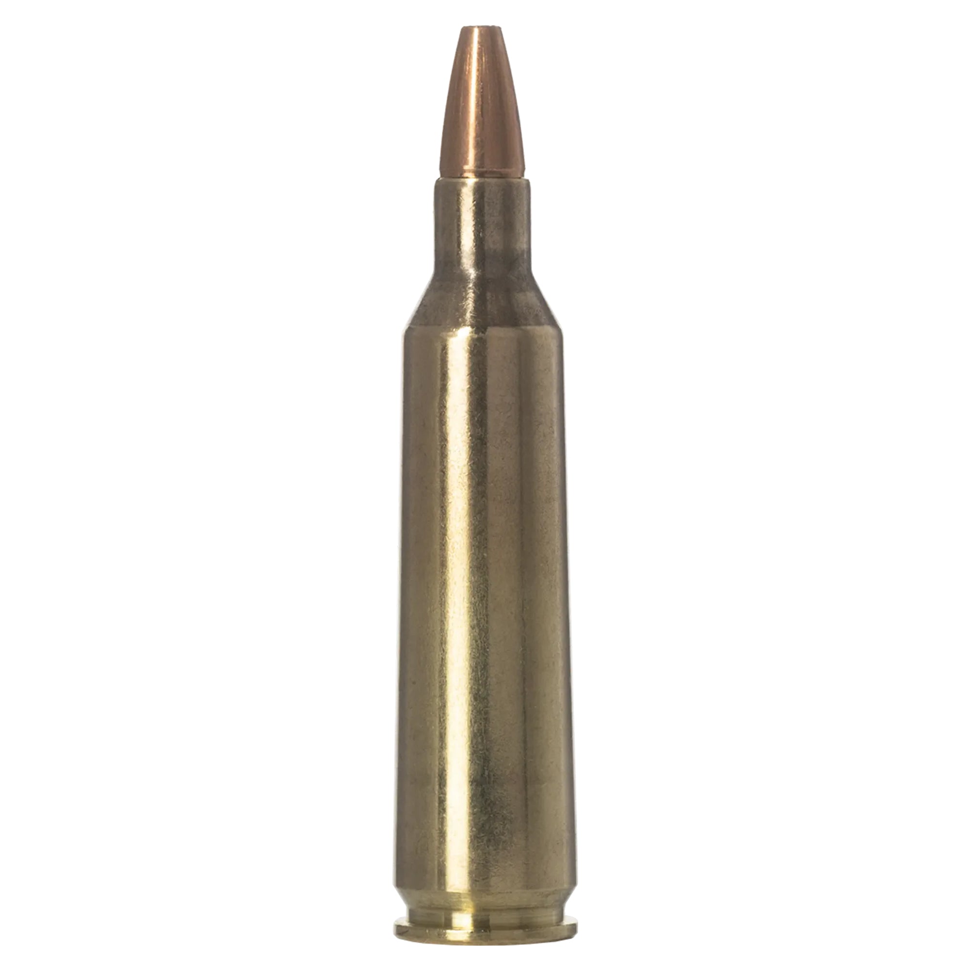 22-250 Rem 55gr Vermin Xtreme HP