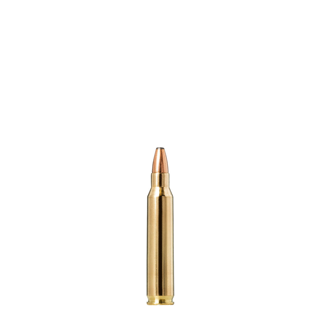 223 Rem 55gr Whitetail SP