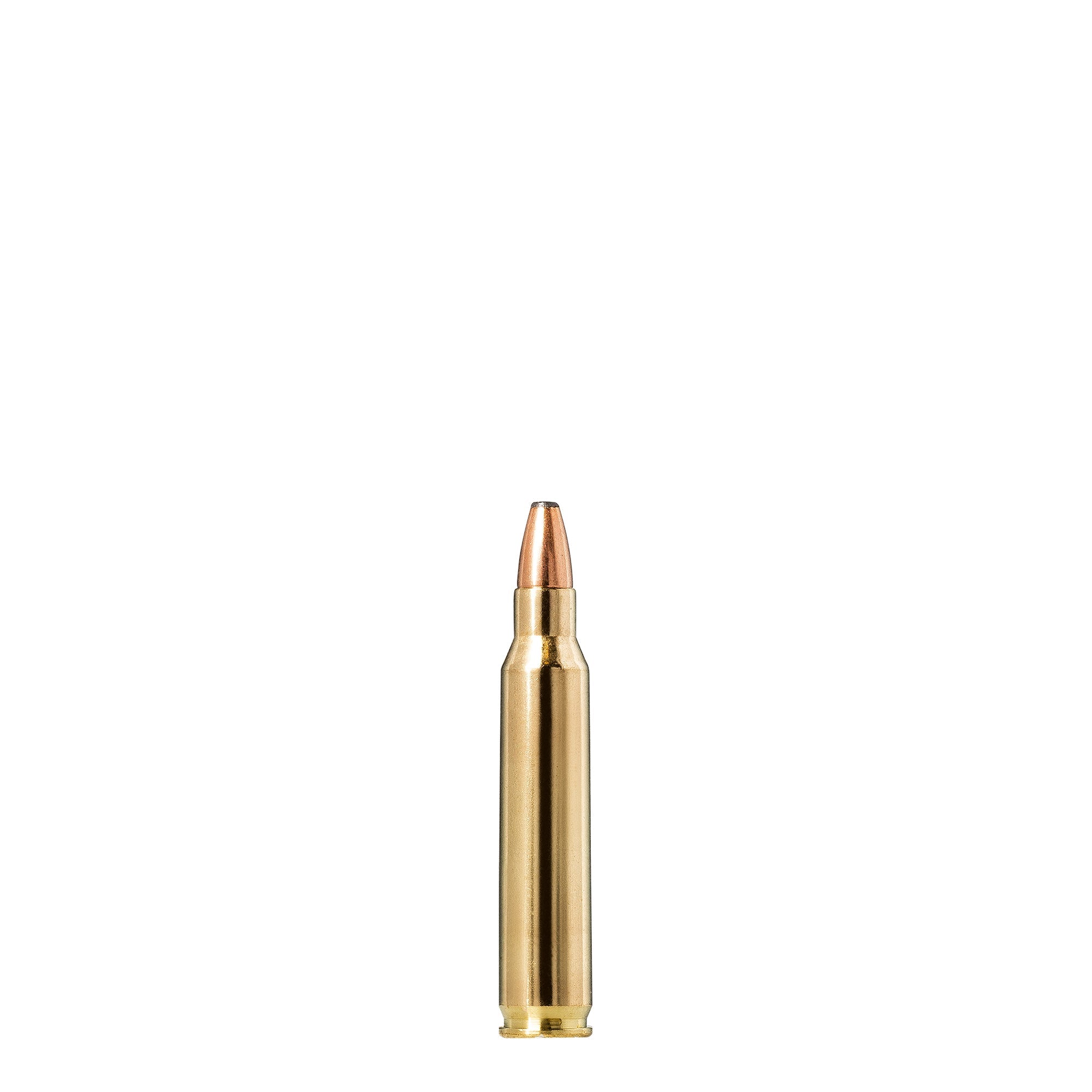 223 Rem 55gr Whitetail SP
