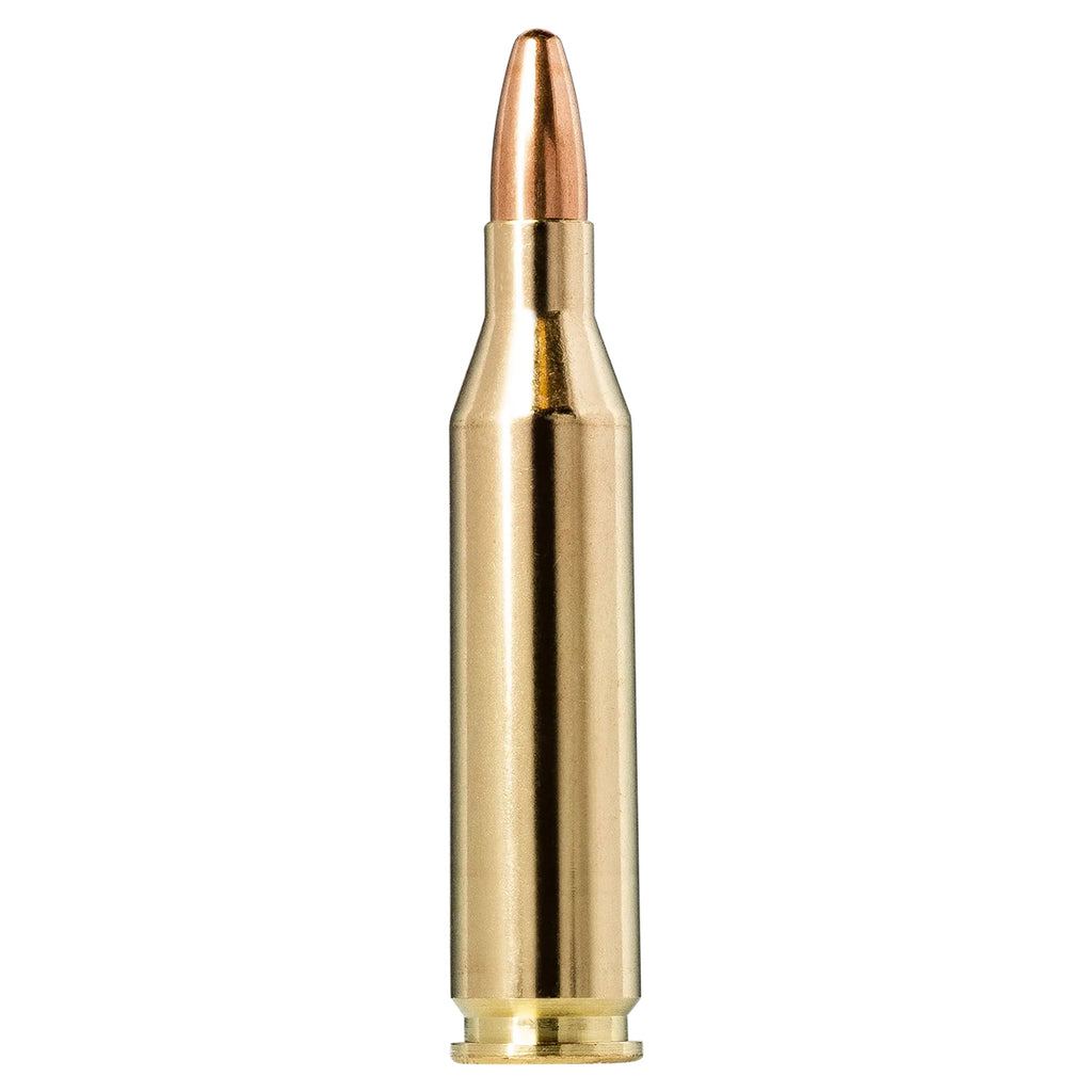243 Win 95gr Jaktmatch FMJ