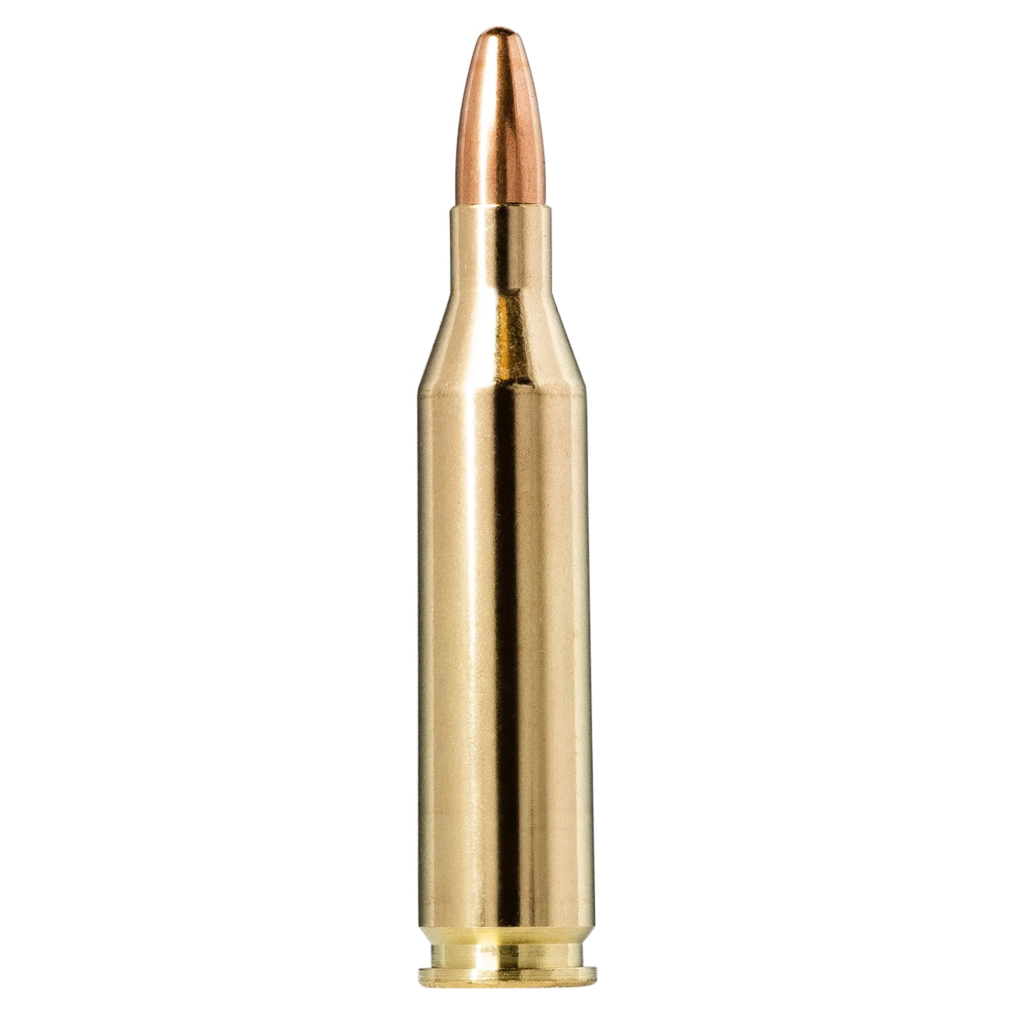 243 Win 95gr Jaktmatch FMJ